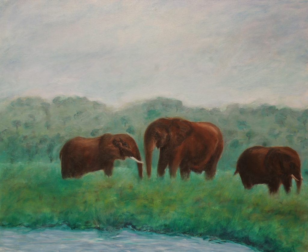elephants