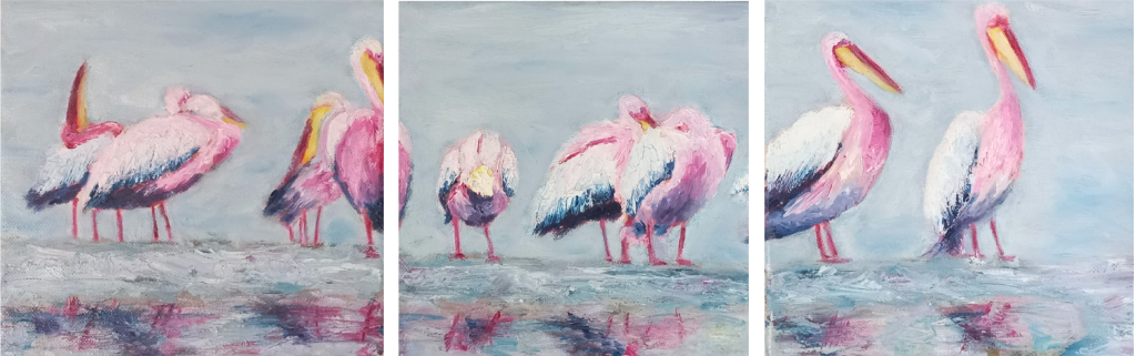 Flamants roses